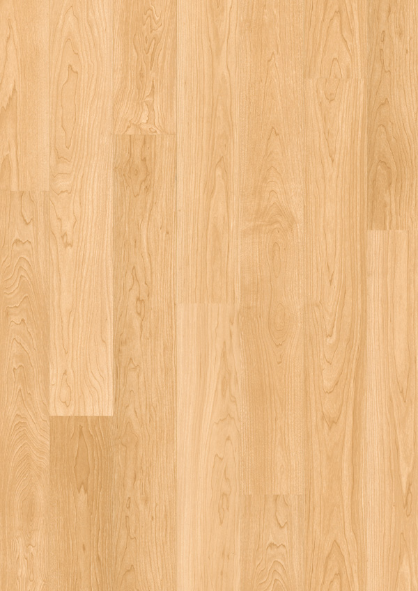 Quick Step Parquet Flottant AUTRE2 ERABLE VERNI NATUREL PLANCHES U862