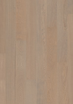CH�NE FOSSILE
