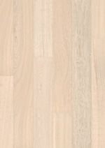 CH�NE POLAIRE MAT
