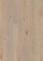 CH�NE GRIS C�RUS� MAT