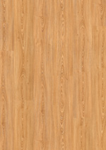 CH�NE PLANCHE